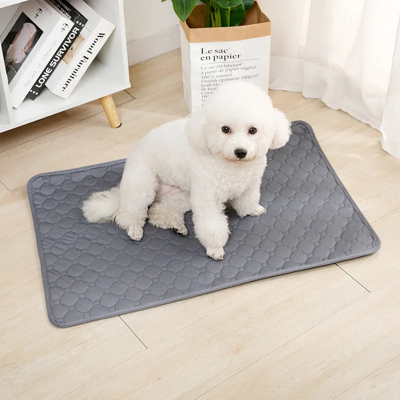 Tappetino da addestramento per cani riutilizzabile PeeProof – Tappetino assorbente lavabile e coprisedile per auto