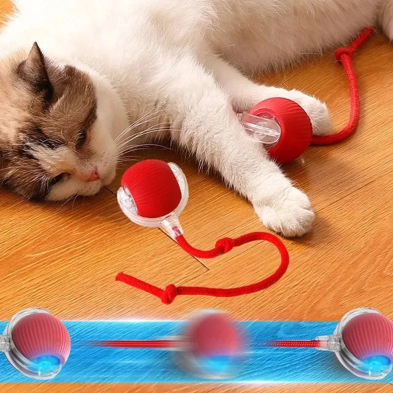 TailChase Pro – Giocattolo intelligente per gatti con coda di topo elettrica