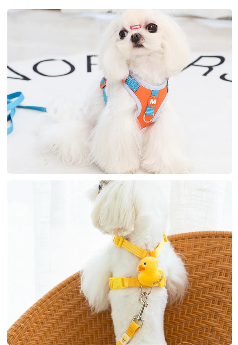 Collar y arnés ajustable para bulldog francés. Correa con estampado animal para perros pequeños y medianos.