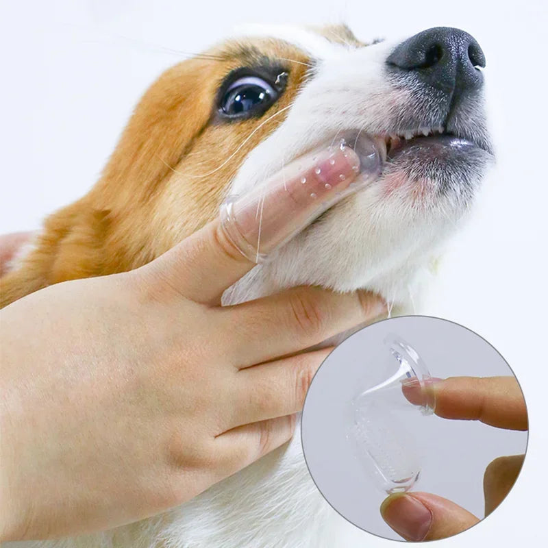 PawPure Finger Brush – Spazzolino da denti in silicone morbido per cani e gatti