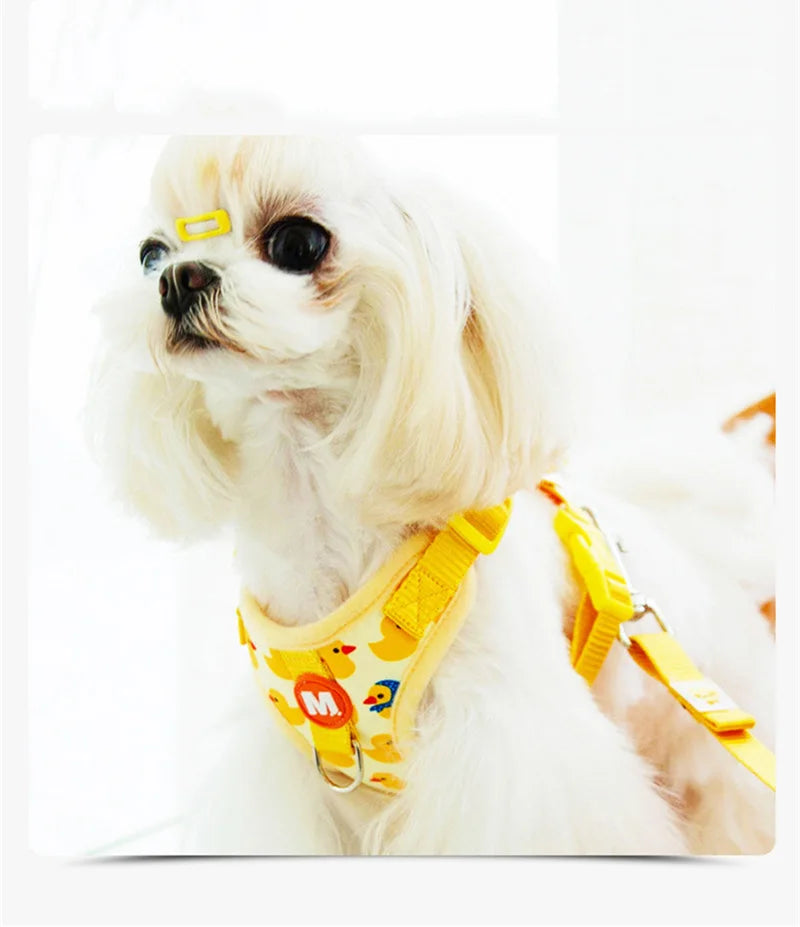 Collar y arnés ajustable para bulldog francés. Correa con estampado animal para perros pequeños y medianos.